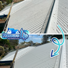WOAH-This-Newtown-Queensland-Roof-Clean-Was-AMAZING 1
